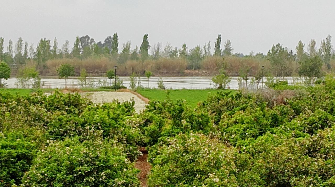 La Caseta Del Pitxo Deltebre Dış mekan fotoğraf